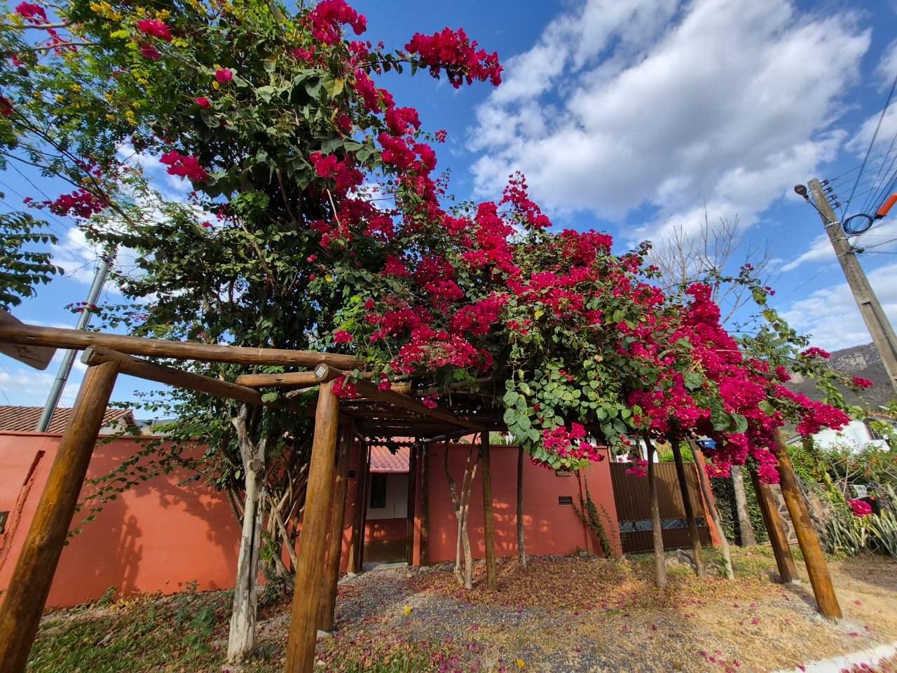 Casa da Artista vista da entrada, entre as flores da trepadeira e a serra de Cavalcante ao fundo